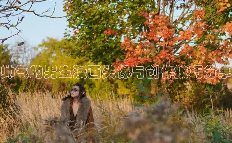 51动画网页版官网